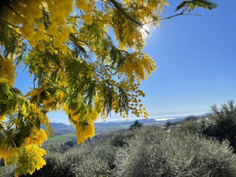 Appartamento Caprino Veronese