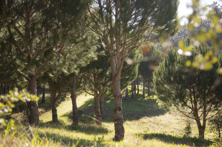 foto11