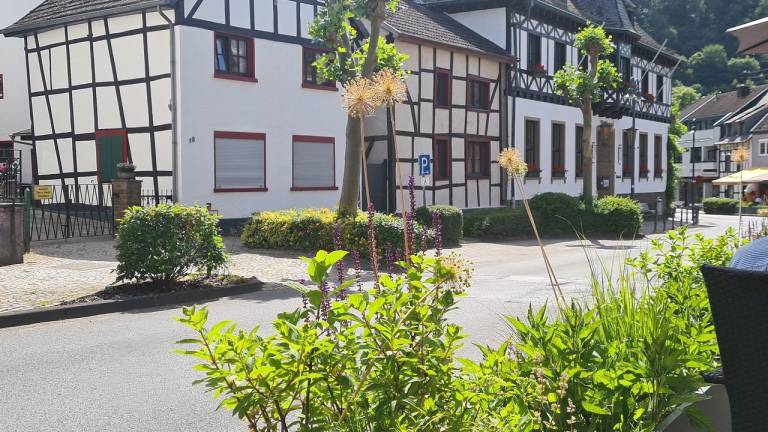 Ferienwohnung  Hasenfeld