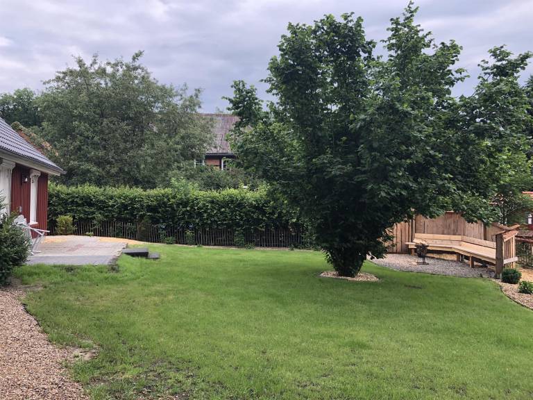 foto41