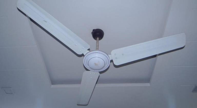 foto41