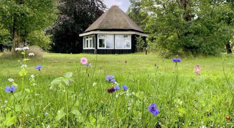 40 m&sup2; Ferienhaus