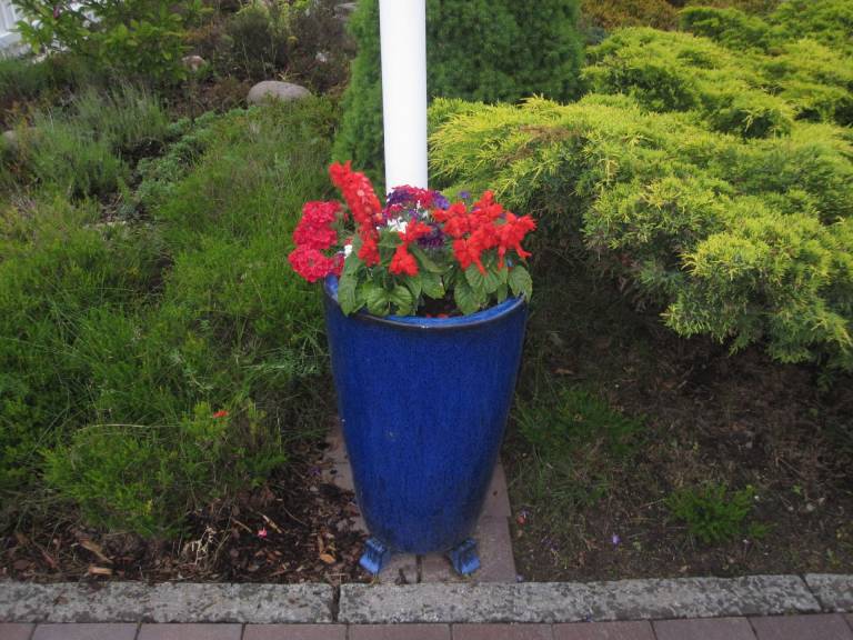 foto35