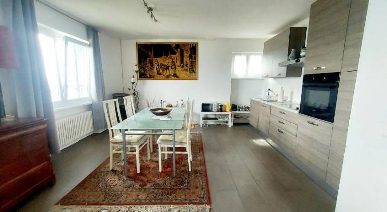Lovely rental apartment with patio | Pets are welcome in Lugano