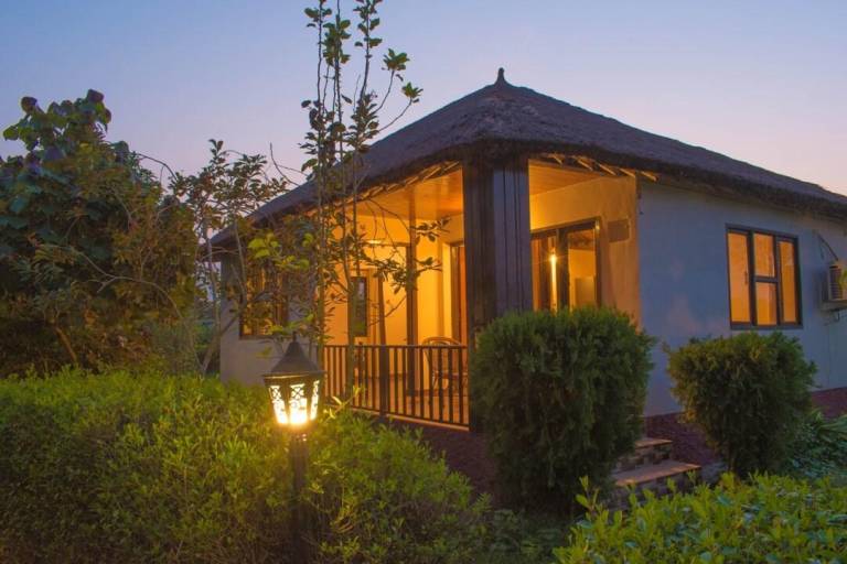 foto42