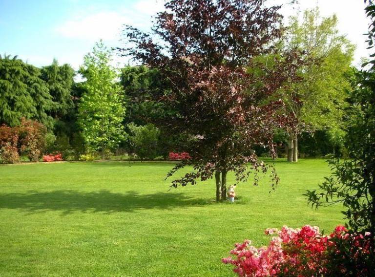 foto14