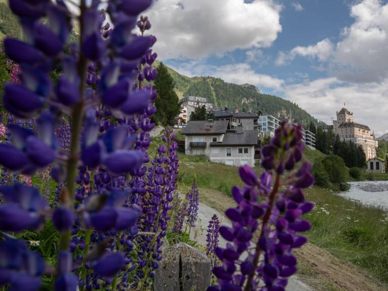 Ferienwohnung mit Hund in Pontresina,  f&uuml;r max. 2 Personen