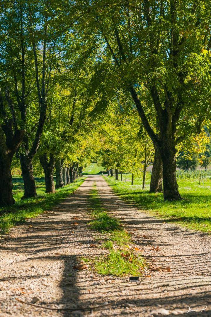 foto2