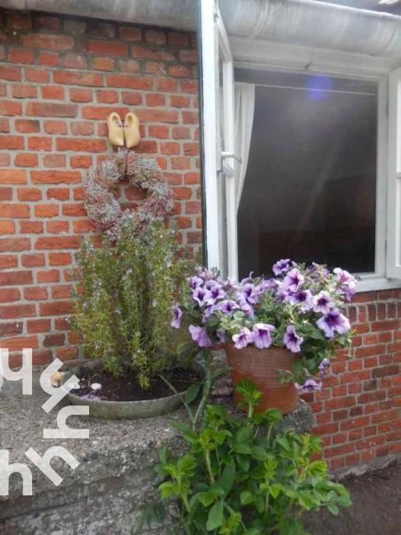 foto22