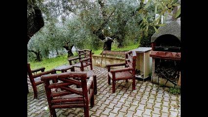 foto16
