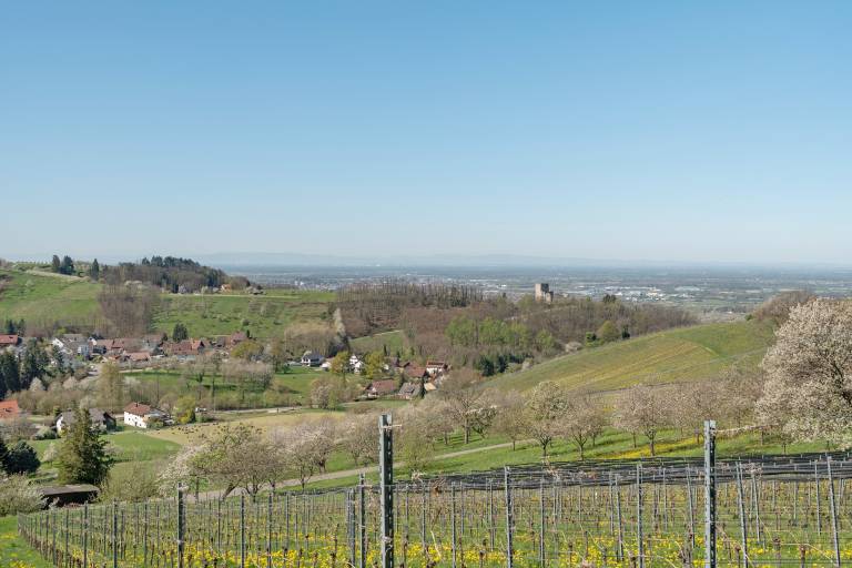 Apartment 'Ferienwohnung Gabriele' with Mountain View, Private Terrace and Wi-Fi — photo 2
