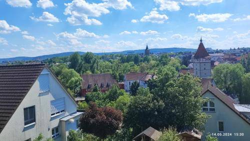 foto11
