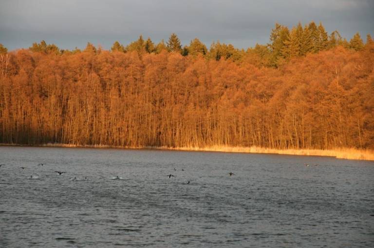 foto17