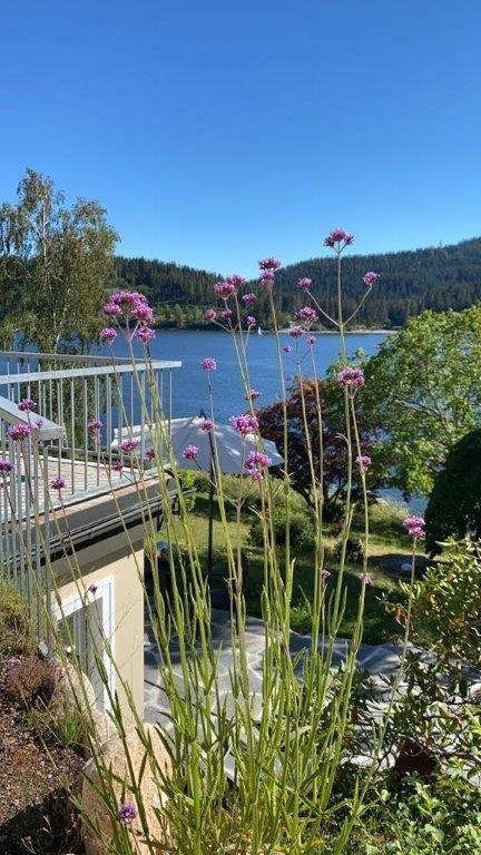 Ferienwohnung Schluchsee