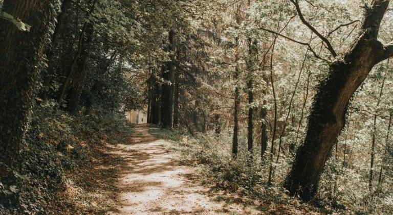 foto14