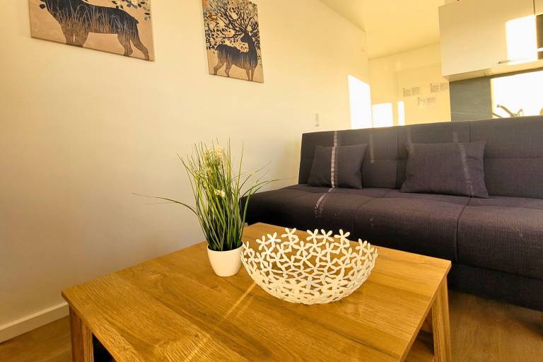 Rental apartment with patio & sauna — photo 5