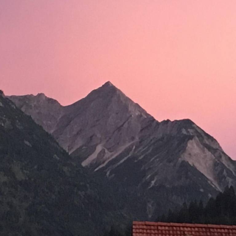 foto41