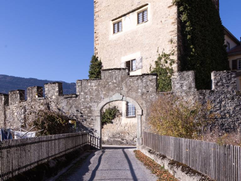 Ferienwohnung Domleschg