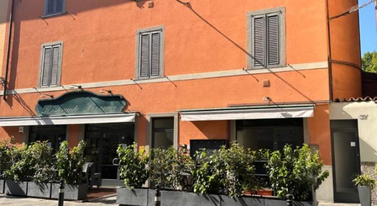 Pleasant apartment | Next to Fontana del Delfino | Pets are welcome — photo 3