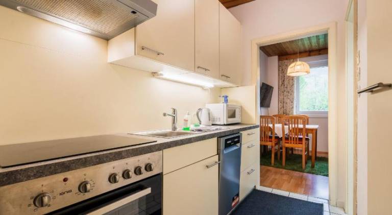 Appartementanlage Thermenblick SKI IN & SKI OUT — photo 3