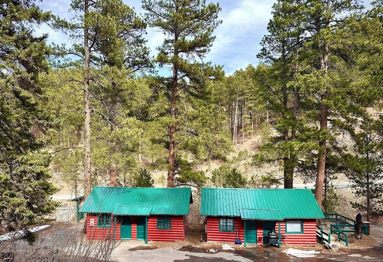 Ponderosa Pines — photo 4