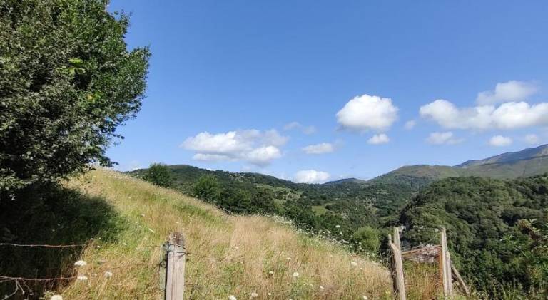 foto33