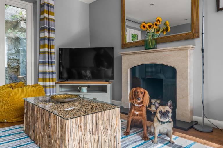 Children-friendly wonderful cottage with garden | Beach view | Dogs allowed — photo 5