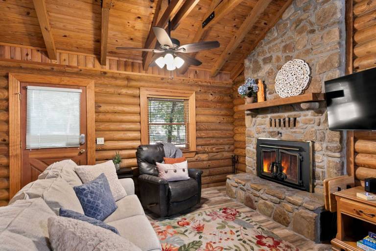 Cabin Hollister