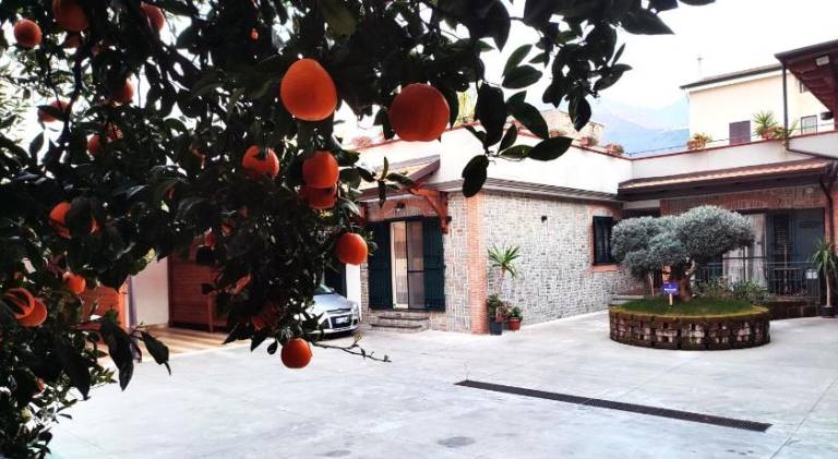 Midway House Italy — photo 5