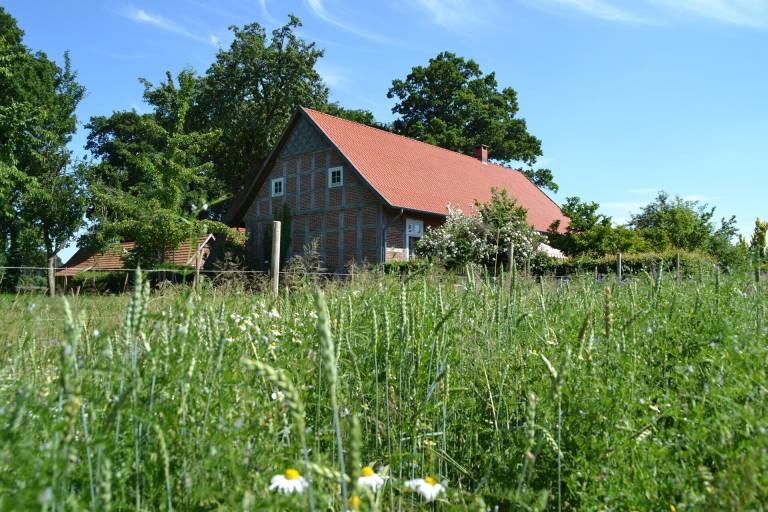 Ferienhaus  Damme