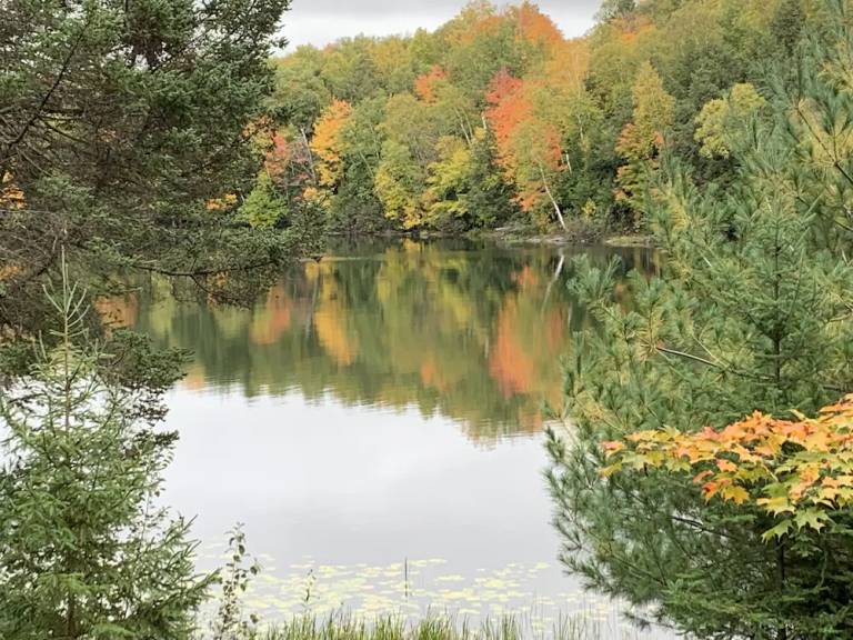 House  Star Lake