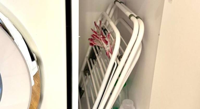 foto31
