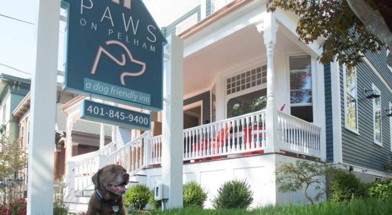 Paws on Pelham — photo 3