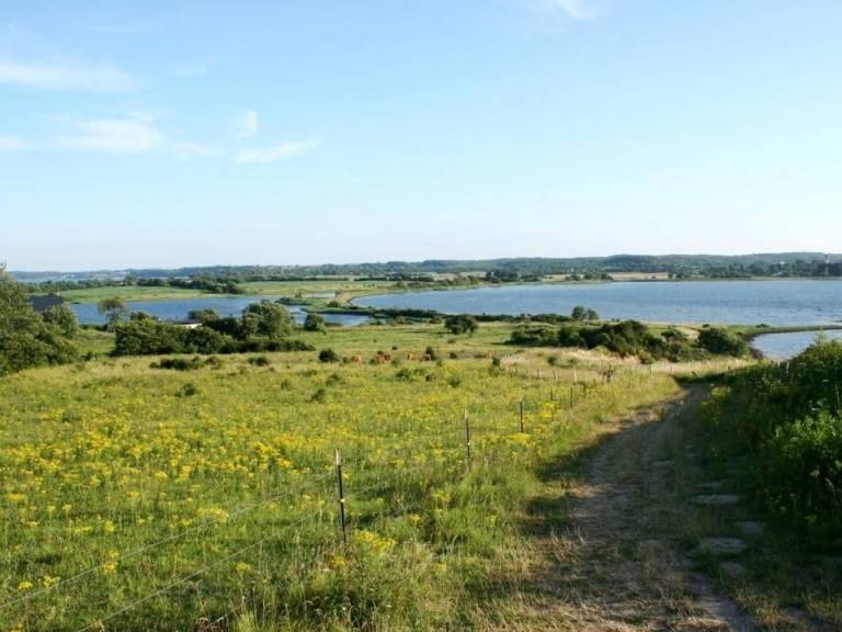 foto17