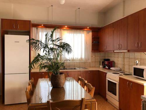 House Arvi