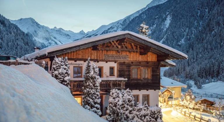 Nice serviced apartment with sauna & yard | Pet-friendly in Neustift Im Stubaital