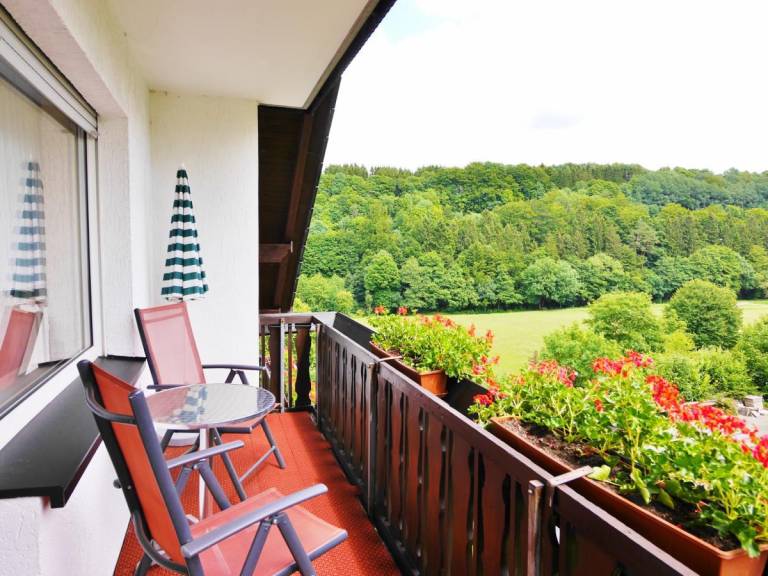 Ferienhaus Willingen (Upland)