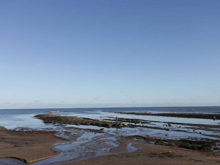 Cottage Robin Hood's Bay