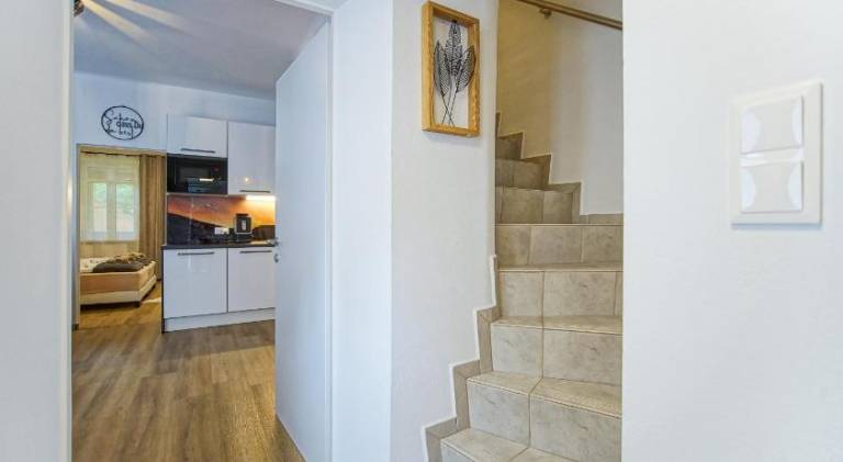 Holiday apartment | Dogs allowed — photo 3