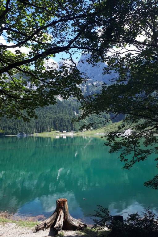 foto39