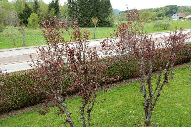 foto3