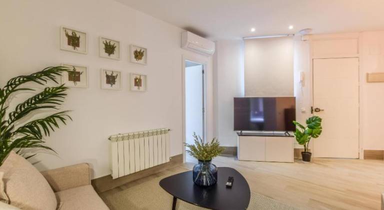 Pleasant apartment | Pet-friendly in Madrid