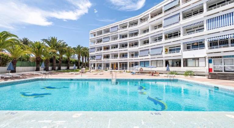 Beautiful rental apartment with pool | Dogs allowed — photo 3