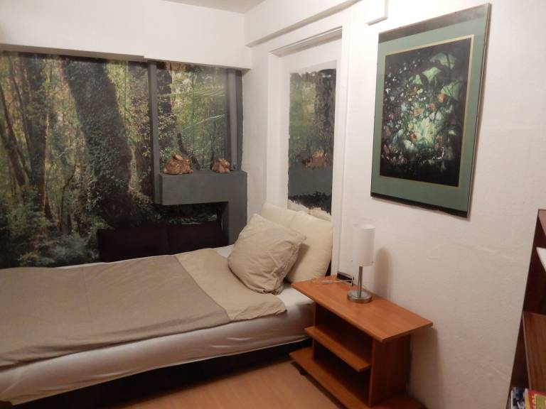 foto14