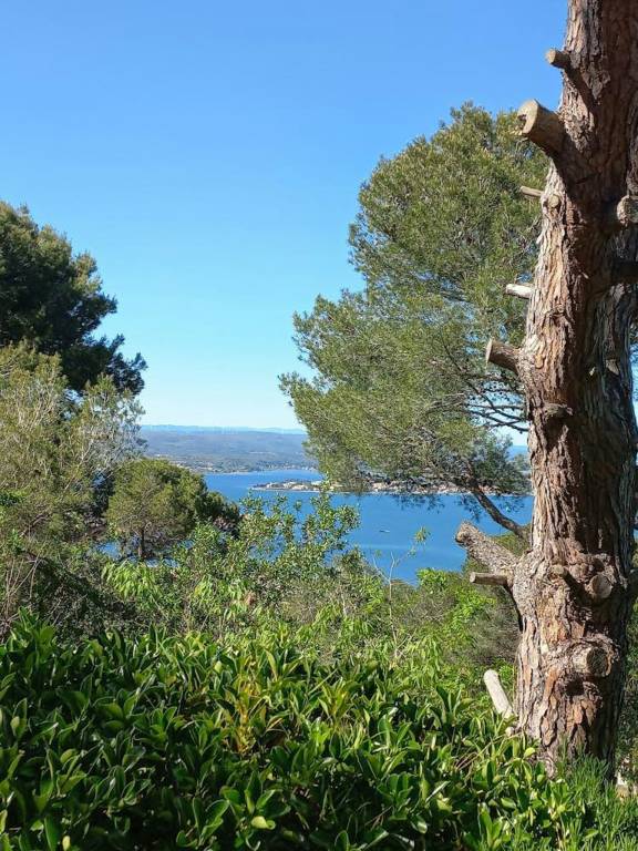Artist's house with views of the Thau lagoon — photo 4