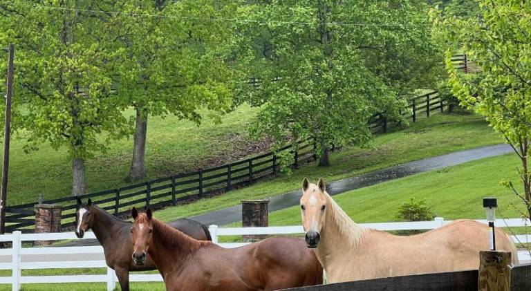 Farm with garden, BBQ & patio in Kent, KY