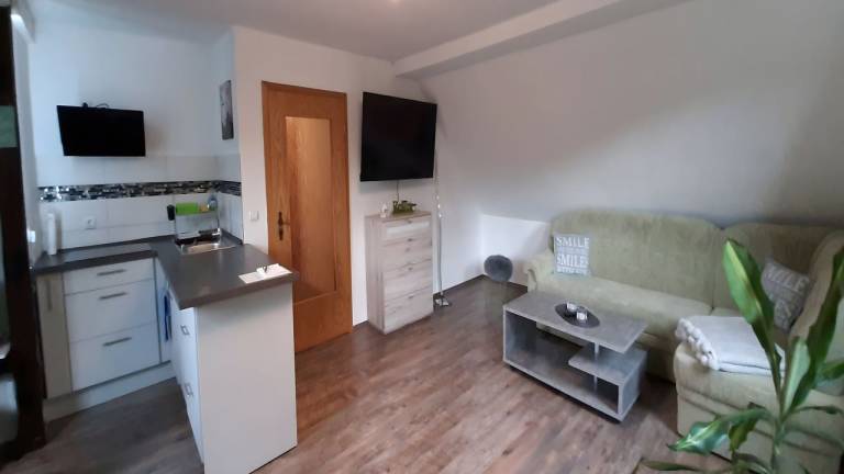 Ferienwohnung Saalburg