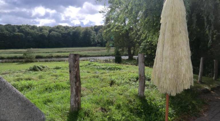 foto14