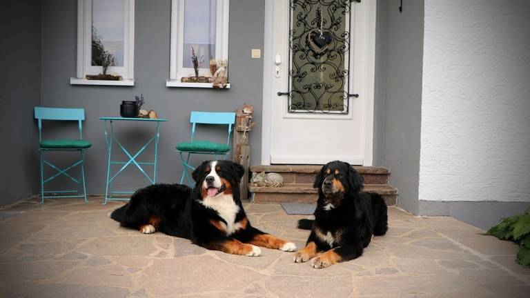 Ferienhaus  Berching