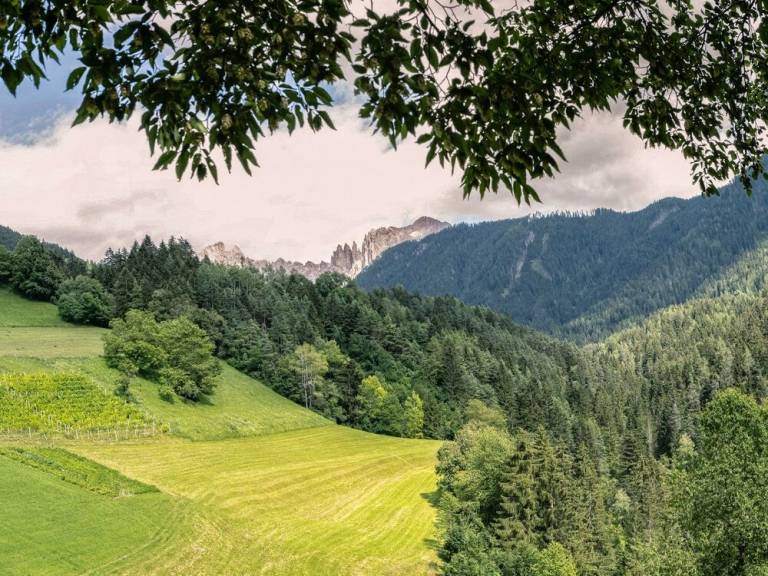 foto16